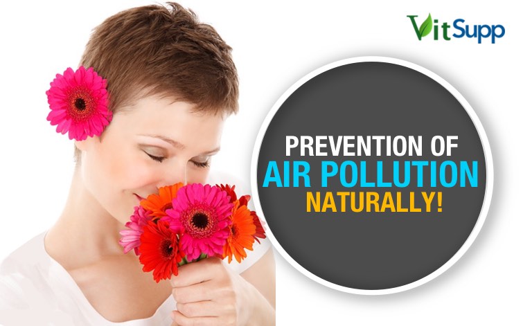 PREVENTION OF AIR POLLUTION NATURALLY